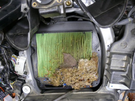 A dirty air filter will starve your car of air and cause it to use twice as much fuel.